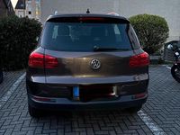 Gebraucht VW Tiguan Life 90 PS (66 kW) 2013 Braun SUV
