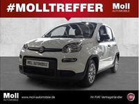 Neu Fiat Panda 69 PS (50 kW) 2025 Weiß (colore esterno (weiss)) Kleinwagen