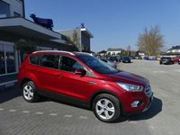 Gebraucht Ford Kuga Cool & Connect 150 PS (110 kW) 2019 Rot SUV