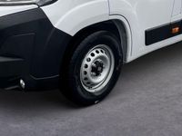 Neu Fiat Ducato 179 PS (131 kW) 2025 549 weiss 549 weiss Van