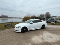 Gebraucht Jaguar XF 275 PS (202 kW) 2012 Weiß Limousine