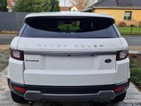 Gebraucht Land Rover Range Rover evoque 150 PS (110 kW) 2016 Weiß SUV