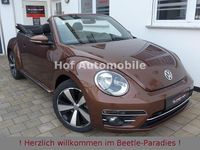 Gebraucht VW Beetle Allstar 150 PS (110 kW) 2017 Braun Kleinwagen