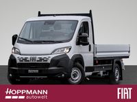 Neu Fiat Ducato 140 PS (102 kW) 2026 Weiß Van