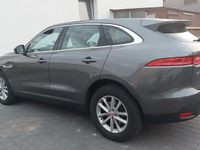 Gebraucht Jaguar F-Pace Pure 179 PS (131 kW) 2016 Grau SUV