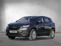 Gebraucht Opel Grandland X Selection 131 PS (96 kW) 2020 Grau SUV