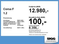 Gebraucht Opel Corsa Elegance 101 PS (74 kW) 2022 Jade weiss/arktis weiss Kleinwagen