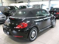 gebraucht VW Beetle Cabrio 1.4 TSI Design LEDER,NAVI,KLIMA