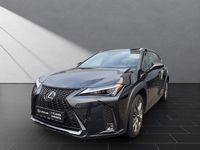 Gebraucht Lexus UX 250h Sport Line 184 PS (135 kW) 2023 Graphite black (schwarz) SUV
