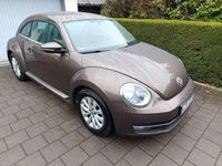 Gebraucht VW Beetle Design 105 PS (77 kW) 2014 Braun Kleinwagen