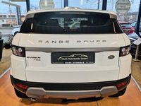 gebraucht Land Rover Range Rover evoque Pure/2.Hd/MFL/Assis+/PDC/NAV/