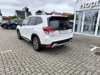 Gebraucht Subaru Forester Comfort 150 PS (110 kW) 2023 Weiß SUV