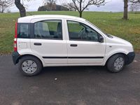 Gebraucht Fiat Panda 55 PS (40 kW) 2009 Weiß Kleinwagen