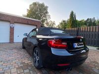 gebraucht BMW 220 i Cabrio Sport Line Autom. Leder Navi