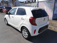 Gebraucht Kia Picanto DREAM-TEAM Edition 67 PS (49 kW) 2017 Weiß Kleinwagen