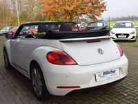 gebraucht VW Beetle AUTOM; iDesign Cab,Navi,Leder,Xeno