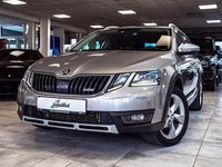Gebraucht Skoda Octavia 150 PS (110 kW) 2019 Beige Kombi