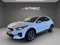 Gebraucht Kia XCeed Xdition 160 PS (117 kW) 2021 Weiß SUV