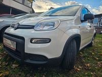 Gebraucht Fiat Panda 69 PS (50 kW) 2022 Weiß Kleinwagen