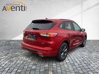 Gebraucht Ford Kuga ST-Line X 152 PS (111 kW) 2022 Rot SUV