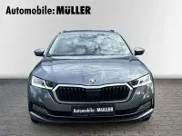 Gebraucht Skoda Octavia Style 190 PS (139 kW) 2023 Grau Kombi