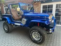 Gebraucht Jeep Wrangler 121 PS (88 kW) 1989 Blau SUV