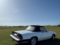 Gebraucht Alfa Romeo Spider 126 PS (92 kW) 1989 Weiß Cabrio