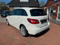 Gebraucht Mercedes B220 177 PS (130 kW) 2015 Weiß Kleinwagen