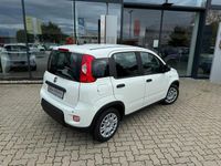 Gebraucht Fiat Panda 69 PS (50 kW) 2024 Weiß Limousine