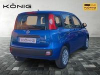 Neu Fiat Panda 69 PS (50 kW) 2025 Blau Kleinwagen
