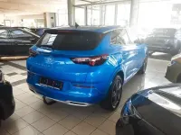 Gebraucht Opel Grandland X Elegance 131 PS (96 kW) 2022 Blau SUV