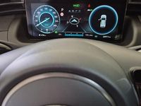 Gebraucht Hyundai Tucson N Line 230 PS (169 kW) 2023 Grau SUV