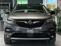 Gebraucht Opel Grandland X Ultimate 300 PS (220 kW) 2020 Grau SUV