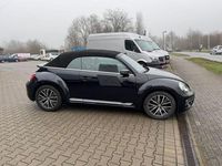 Gebraucht VW Beetle Cabriolet Sound 150 PS (110 kW) 2017 Schwarz Cabrio