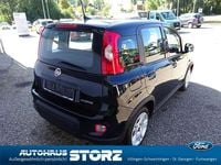 Gebraucht Fiat Panda 69 PS (50 kW) 2024 Colore esterno (cinema schwarz Kleinwagen