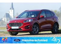 Gebraucht Ford Kuga ST-Line 152 PS (111 kW) 2022 Lucidrot metallic (metallic) SUV