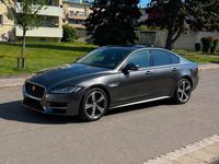 Gebraucht Jaguar XF R-Sport 241 PS (177 kW) 2019 Grau Limousine
