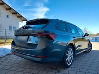 Gebraucht Skoda Octavia Style 150 PS (110 kW) 2020 Grau Kombi