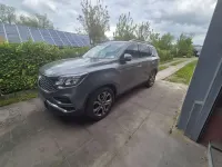 Gebraucht SsangYong Rexton Sapphire 181 PS (133 kW) 2019 Grau SUV