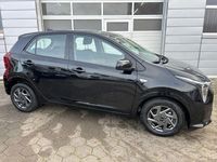 Gebraucht Kia Picanto Vision 67 PS (49 kW) 2024 Aurora black Kleinwagen