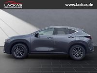 Neu Lexus NX350h Executive Line 243 PS (178 kW) 2025 Grau SUV