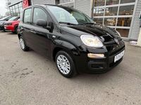 Neu Fiat Panda Icon 65 PS (47 kW) 2026 Rot Kleinwagen