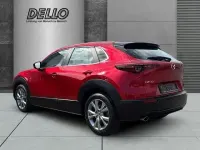 Gebraucht Mazda CX-30 Selection 150 PS (110 kW) 2023 Rot SUV