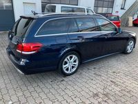 Gebraucht Mercedes E350 AMG line 258 PS (189 kW) 2016 Blau Kombi