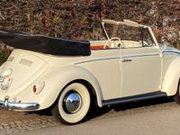 gebraucht VW Käfer Cabrio 1960, Winker