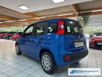 Neu Fiat Panda 65 PS (47 kW) 2026 Blau Kleinwagen