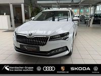 Gebraucht Skoda Superb Style 150 PS (110 kW) 2024 (moonweiss metallic) Kombi