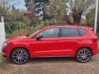 Usata Cupra Ateca 300 CV (220 kW) 2020 Rosso SUV