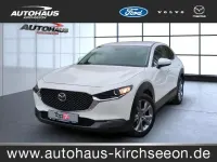 Gebraucht Mazda CX-30 Selection 122 PS (89 kW) 2023 Weiß SUV