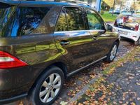 gebraucht Mercedes ML250 4matic